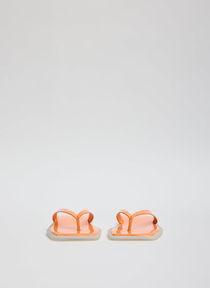 Tibi Arnie Sandal